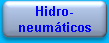 Hidroneumaticos